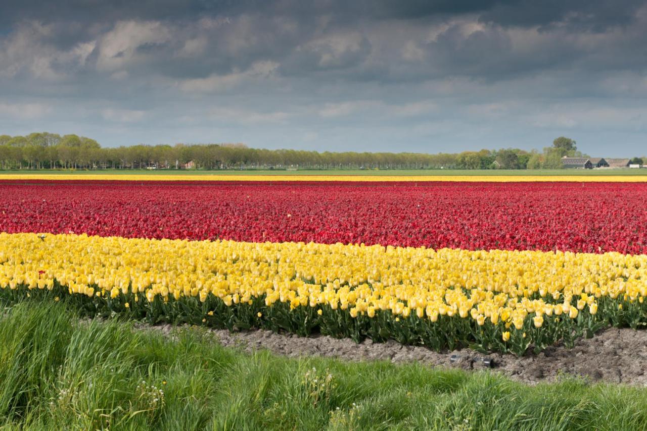 Buitenplaats Langewijk Zuidoostbeemster Kültér fotó